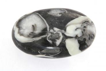 fossilien-seifenstein-handschmeichler-edelstein-heilstein