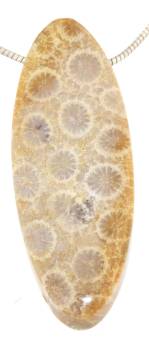 versteinert-koralle-anhaenger-edelstein-heilstein