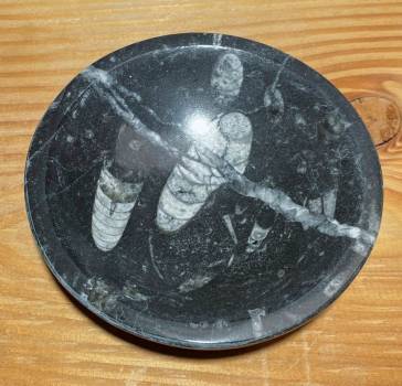 orthoceras-schale-edelstein-heilstein