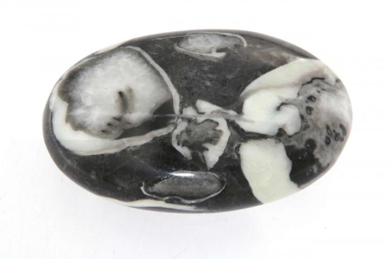 fossilien-seifenstein-handschmeichler-edelstein-heilstein