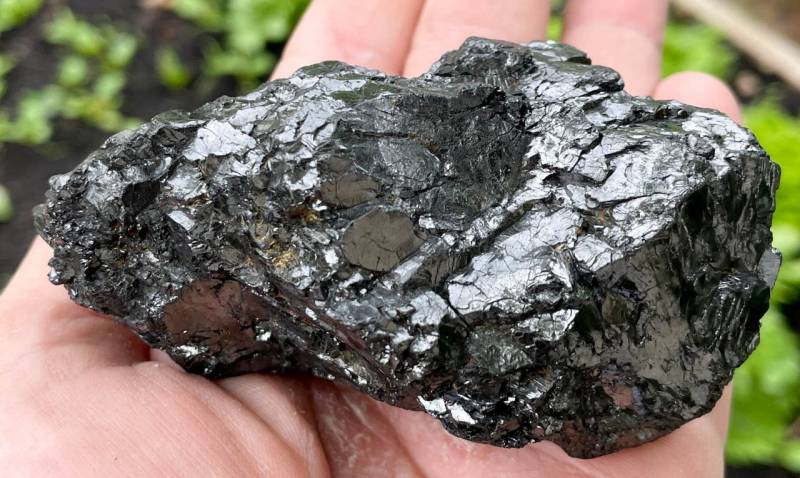 Schungit-edel-elite-shungite-freeform-edel-schungit-edelschungit