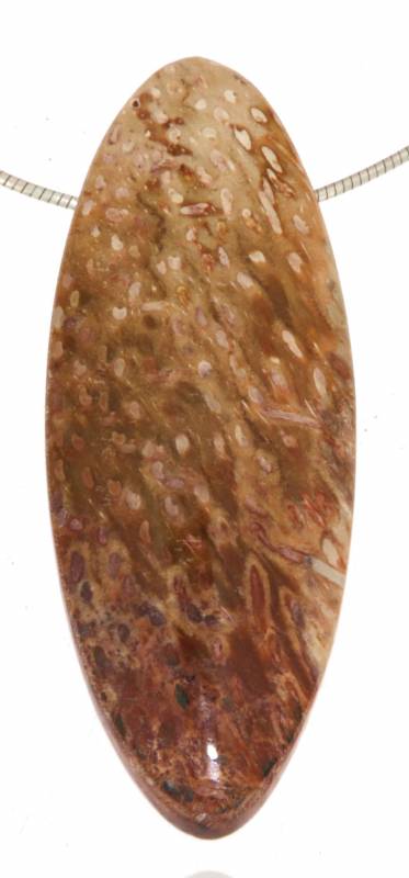 versteinert-holz-anhaenger-edelstein-heilstein-schmuck