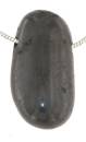 Schungit-edelschungit-anhaenger-shungit-edelstein-trommelstein-heilstein-schmuck-edelsteinschmuck